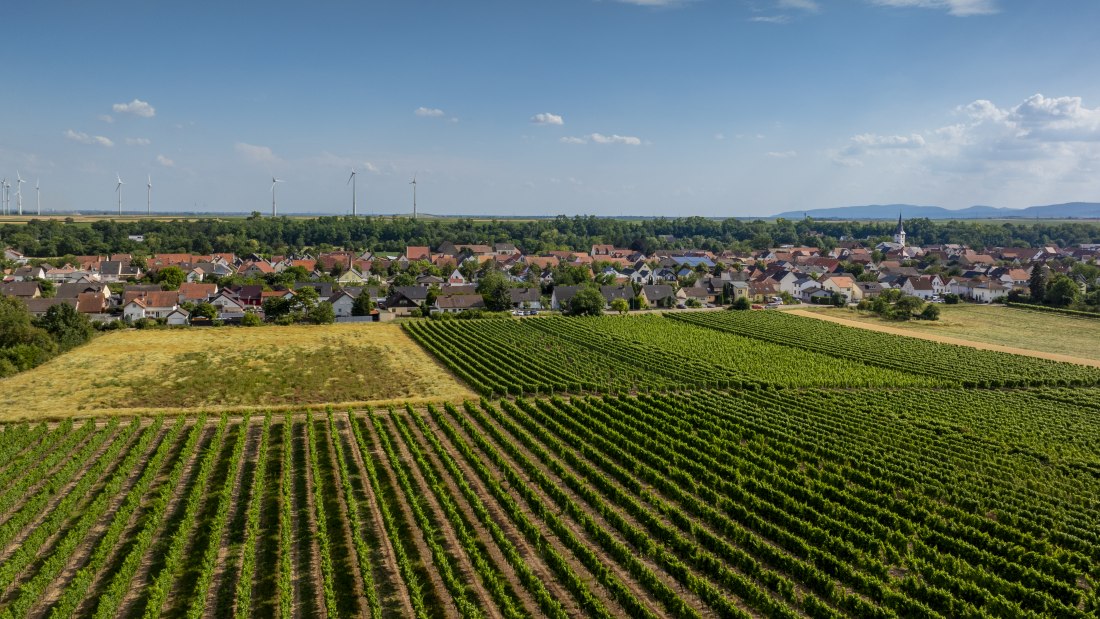 Heppenheimer Schneckenberg, © Torsten Silz