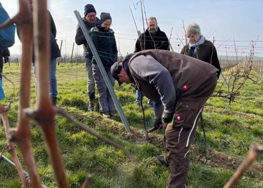 Winzer für ein Jahr © Britta Dörrschuck