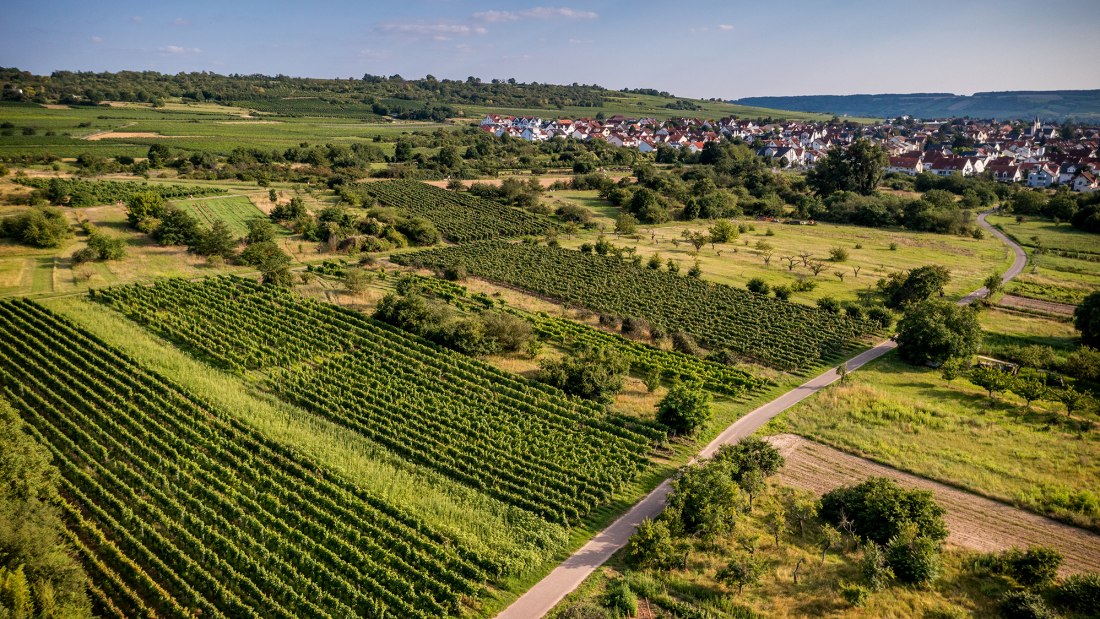 Ingelheimer Rotes Kreuz