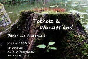 Totholz&Wunderland, © Bodo Witzke