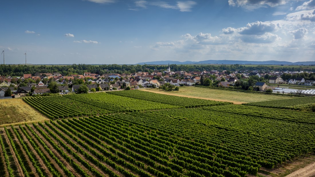 Heppenheimer Schneckenberg, © Torsten Silz