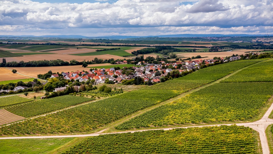 Sörgenlocher Moosberg