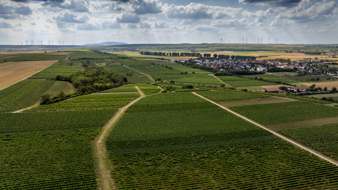 Mörstädter Katzebuckel, © Torsten Silz