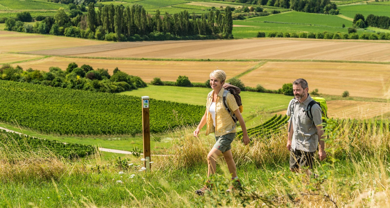 Hiwweltour Stadecker Warte, © Rheinhessen Touristik GmbH, Fotograf Dominik Ketz