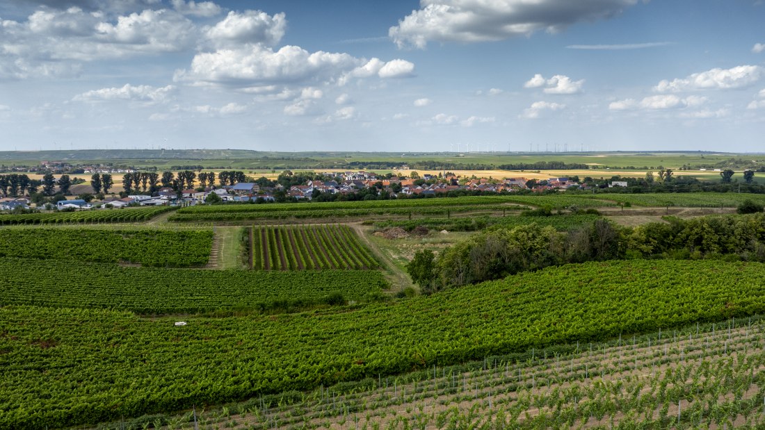 Mörstädter Katzebuckel, © Torsten Silz