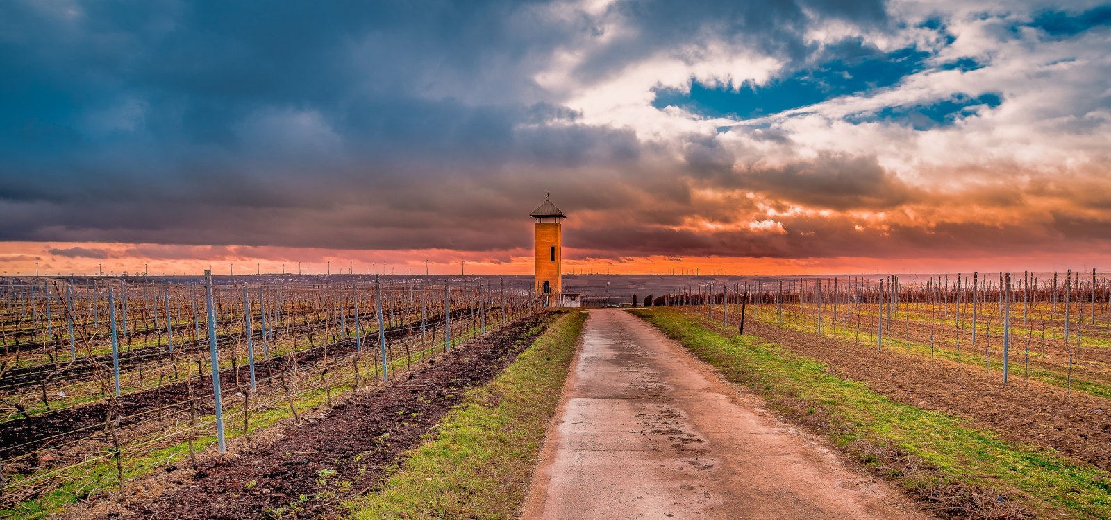 Rheinhessen Mitte im Winter, © Michael Kinzel