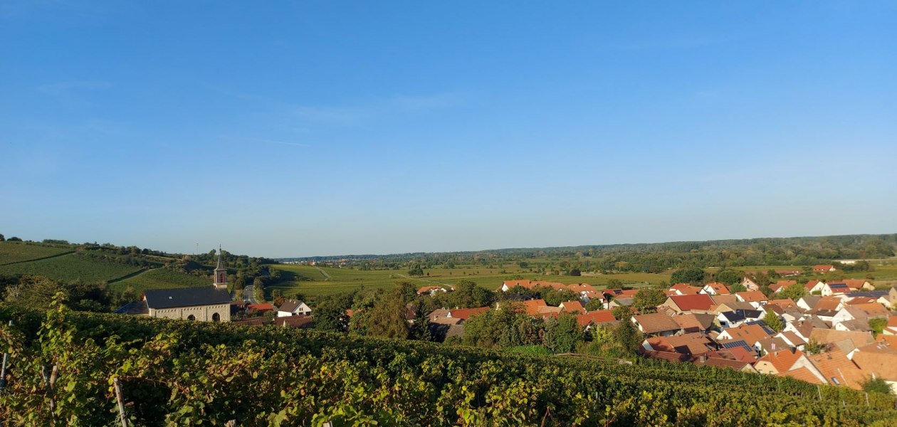 Weingut Otto Becker_Ludwigshoehe, © Weingut Otto Becker