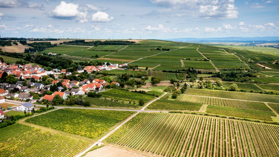 Hangen-Weisheimer Sommerwende