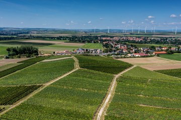 Armsheimer Goldstückchen