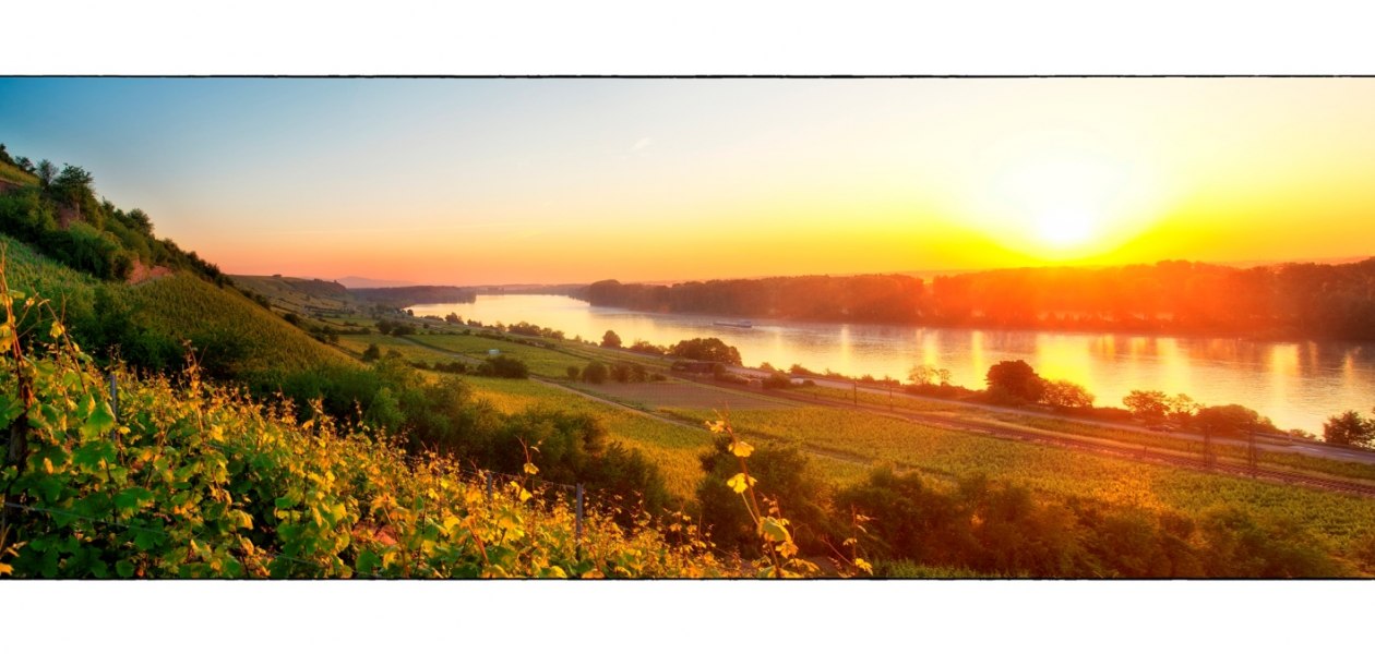 Weingut Heise am Kranzberg_Rhein, © Weingut Heise am Kranzberg