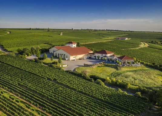 Weingut Raddeck Nierstein © Weingut Raddeck