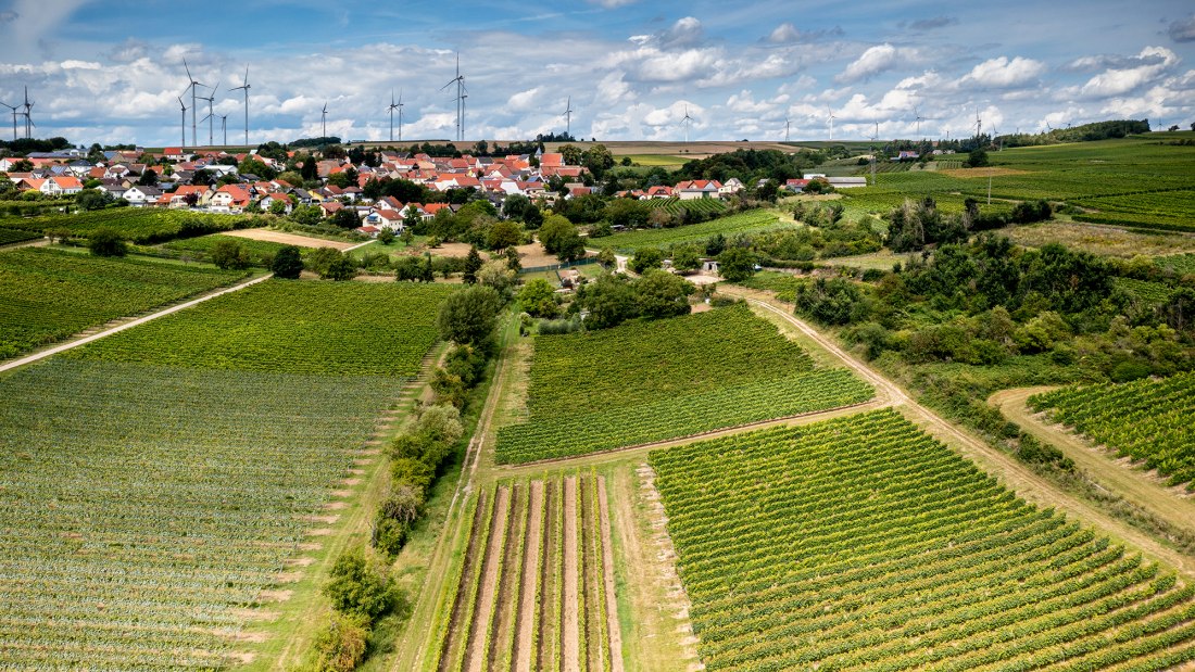 Hangen-Weisheimer Sommerwende