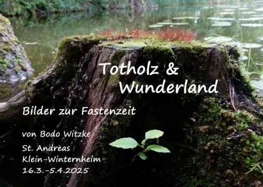 Totholz&Wunderland © Bodo Witzke