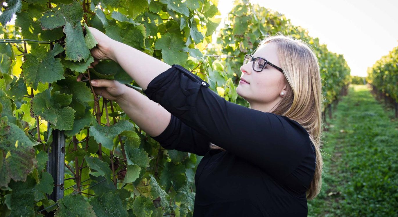 Weingut Sternenfelserhof_Jana Kopp, © Weingut Sternenfelserhof