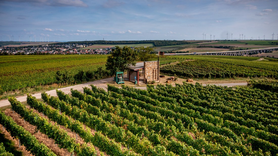 Weinheimer Kapellenberg