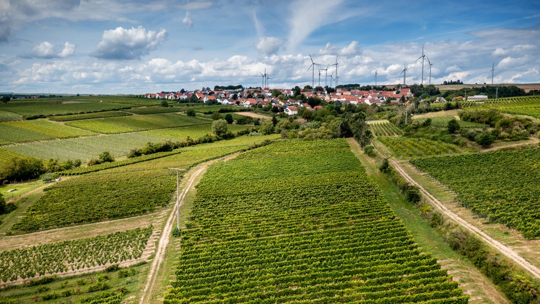 Hangen-Weisheimer Sommerwende