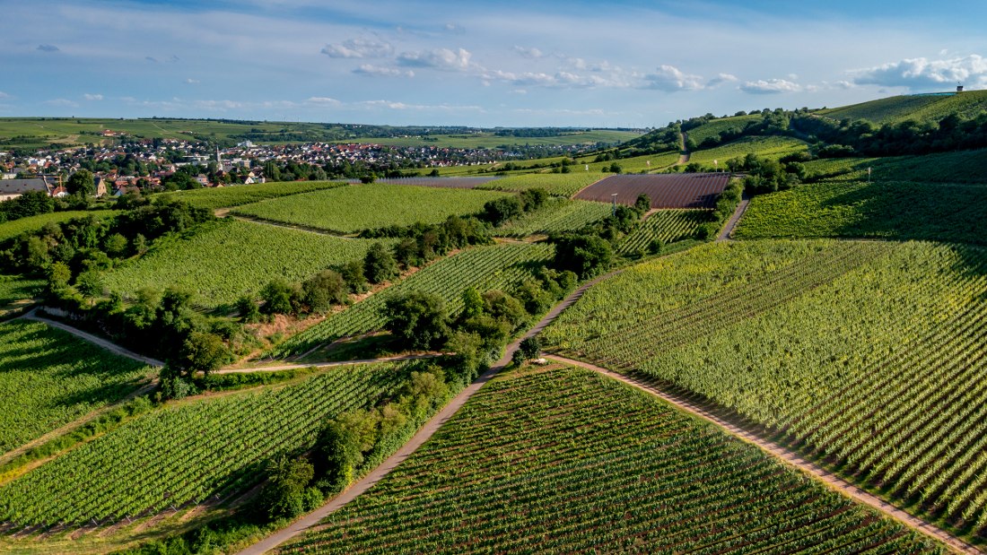 Niersteiner Kranzberg