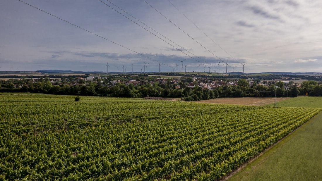 Wallertheimer Vogelsang-DJI_0753, © Rheinhessenwein e.V., Torsten Silz