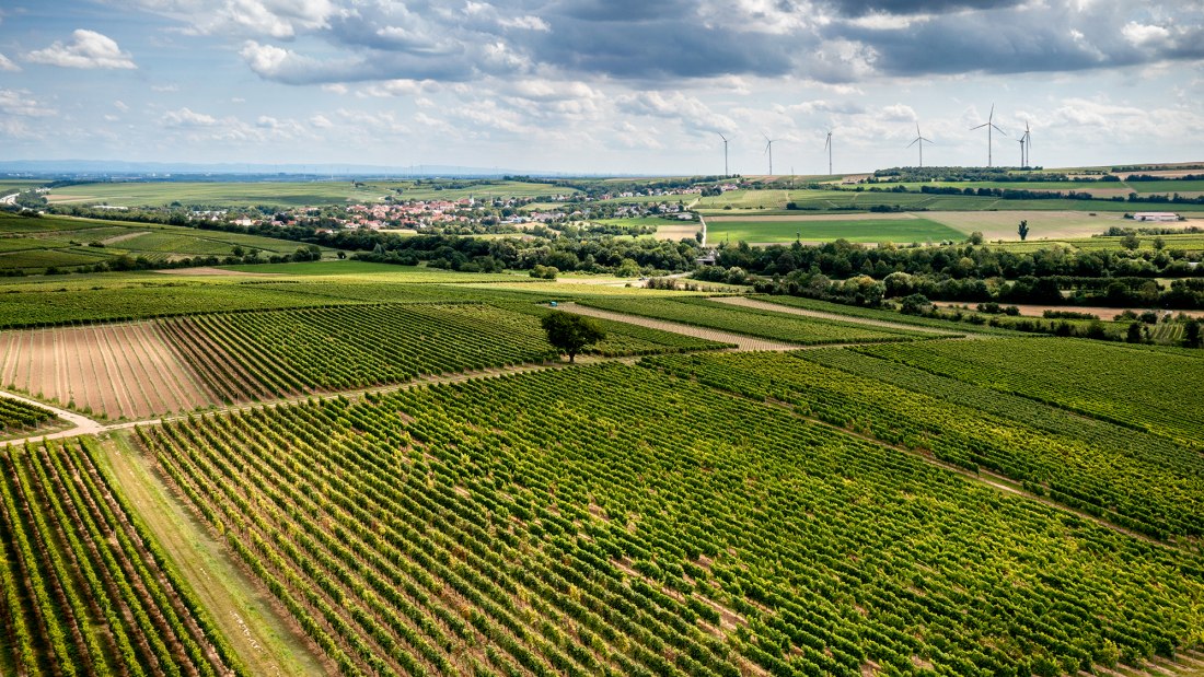 Hangen-Weisheimer Sommerwende