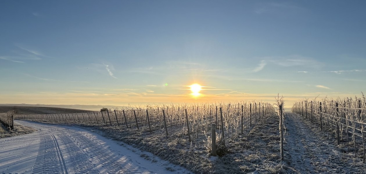 Bio Weingut Hellmich_Schnee, © Bio Weingut Hellmich