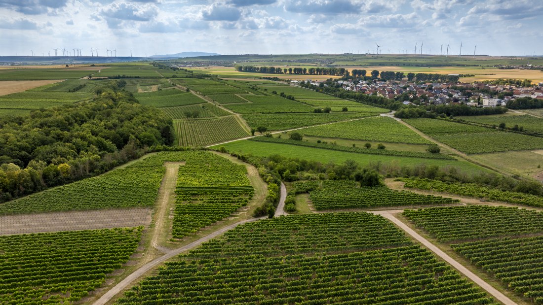 Mörstädter Katzebuckel, © Torsten Silz