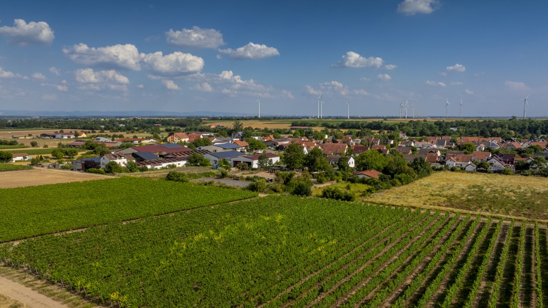 Heppenheimer Schneckenberg, © Torsten Silz