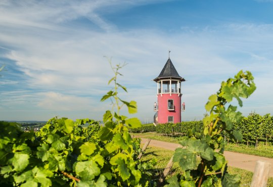 Burgunderturm, © Dominik Ketz/ Rheinhessen-Touristik