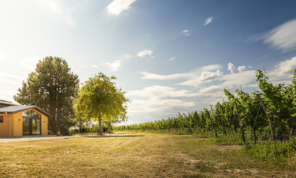 Weingut Schottenhof_Außen, © Weingut Schottenhof