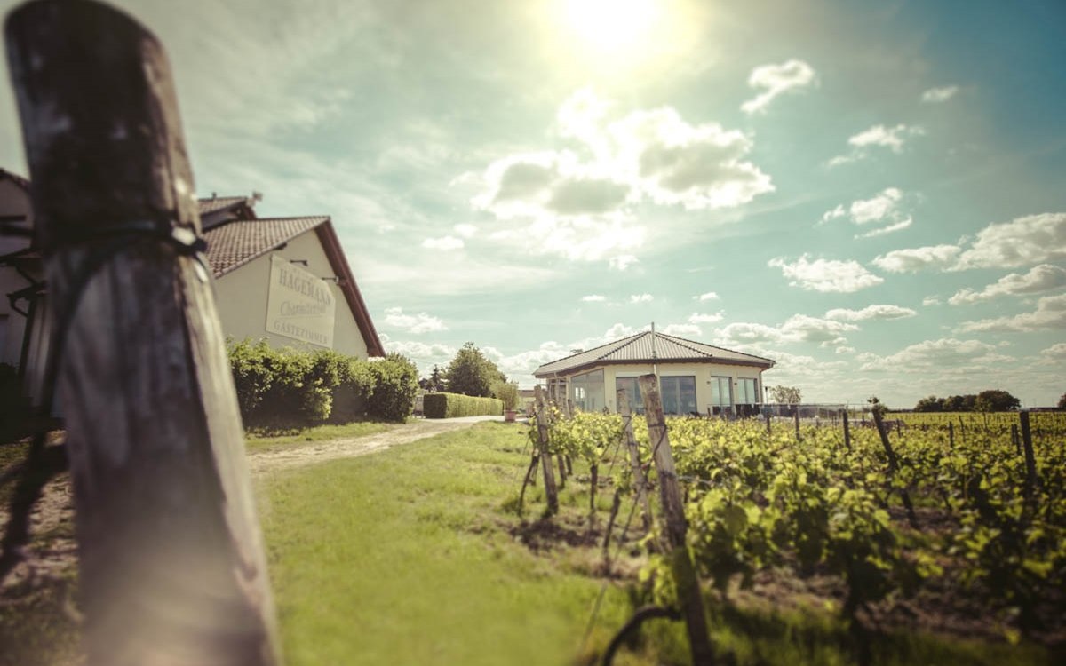 Weingut Hagemann_Aussenansicht Vinothek und Gaestehaus, © Weingut Hagemann