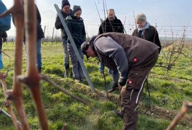 Winzer für ein Jahr 2025 © Britta Dörrschuck