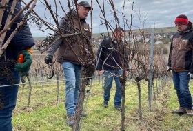 Winzer für ein Jahr 2025 © Britta Dörrschuck