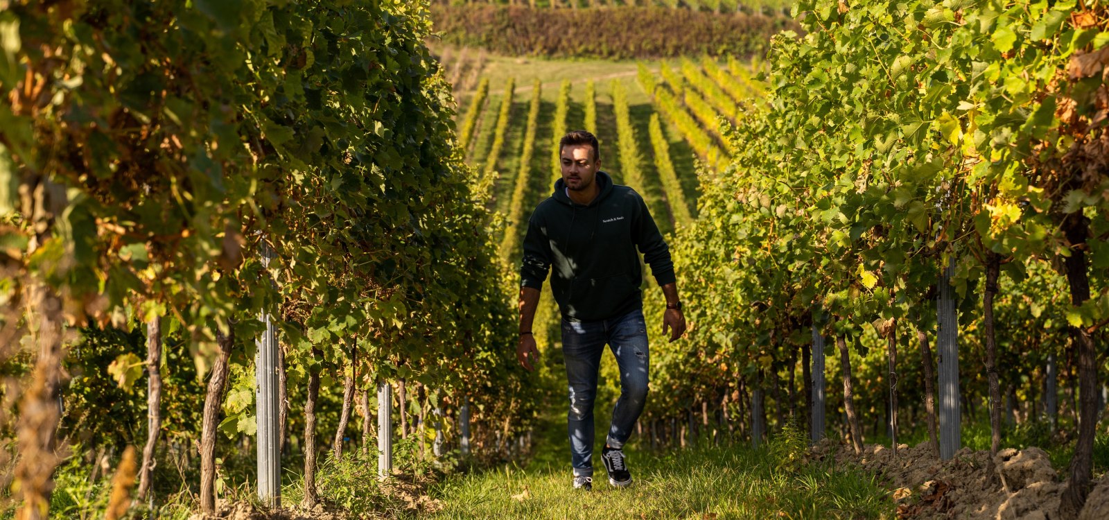 Mark Hahn Weine_Winzer in den Weinbergen, © Mark Hahn Weine Weingut Hahn GbR