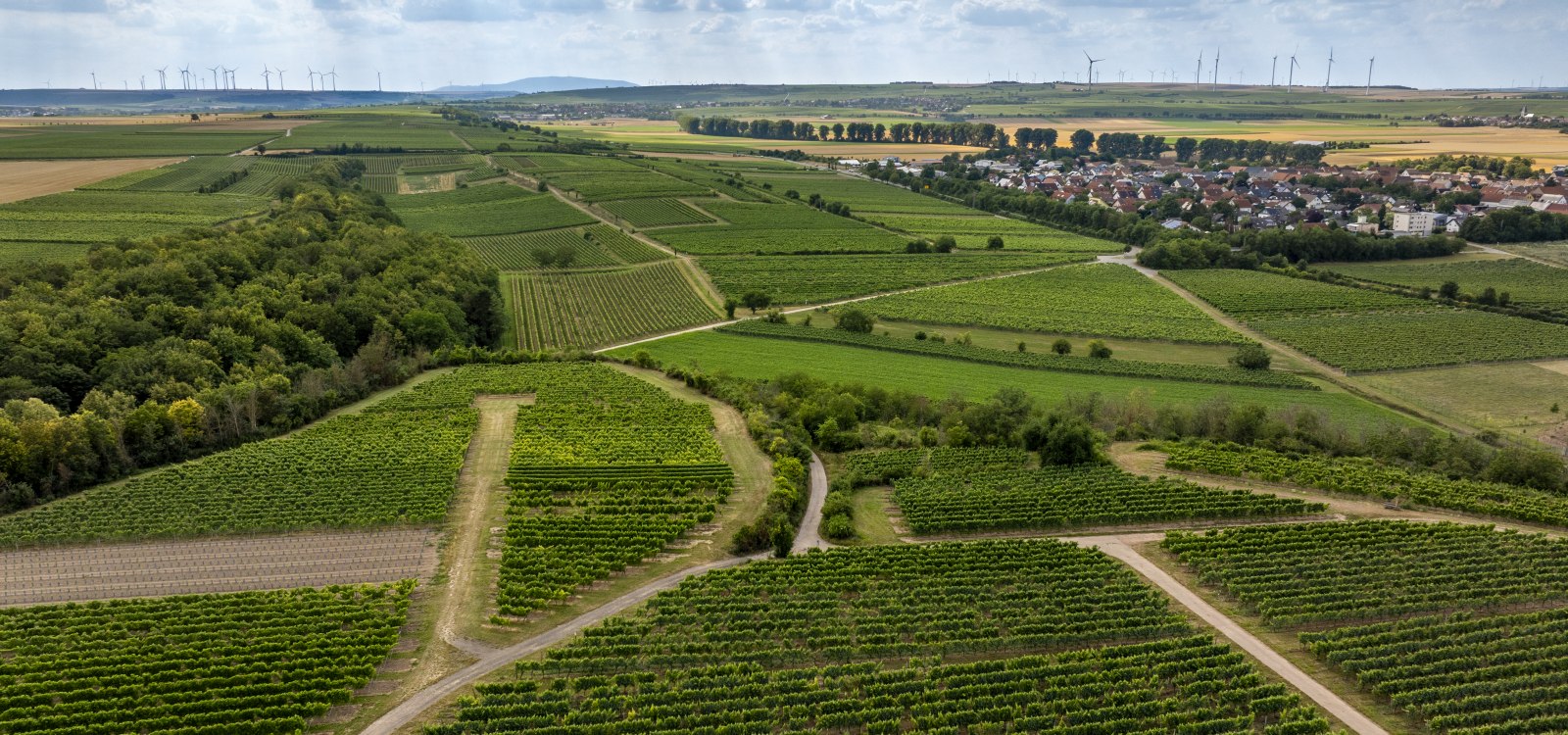 Mörstädter Katzebuckel, © Torsten Silz