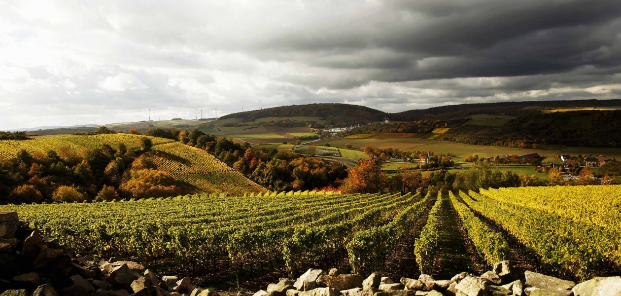 Weingut Steitz_Neu Bamberg Heerkretz, © Weingut Steitz