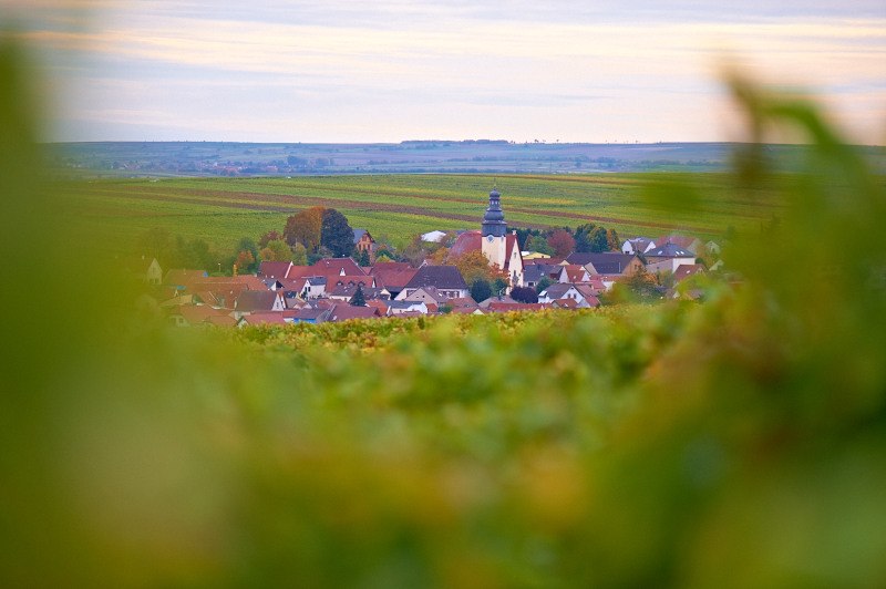 Weingut Schoeneck-Schnell_Ausblick, © Weingut Schoeneck-Schnell