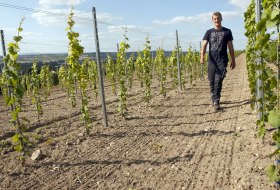 Weingut Bischofsmühle_Weinberg © Weingut Bischofsmühle