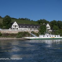 Weingut Louis Guntrum mit Fähre Nierstein © Louis Guntrum, Nierstein