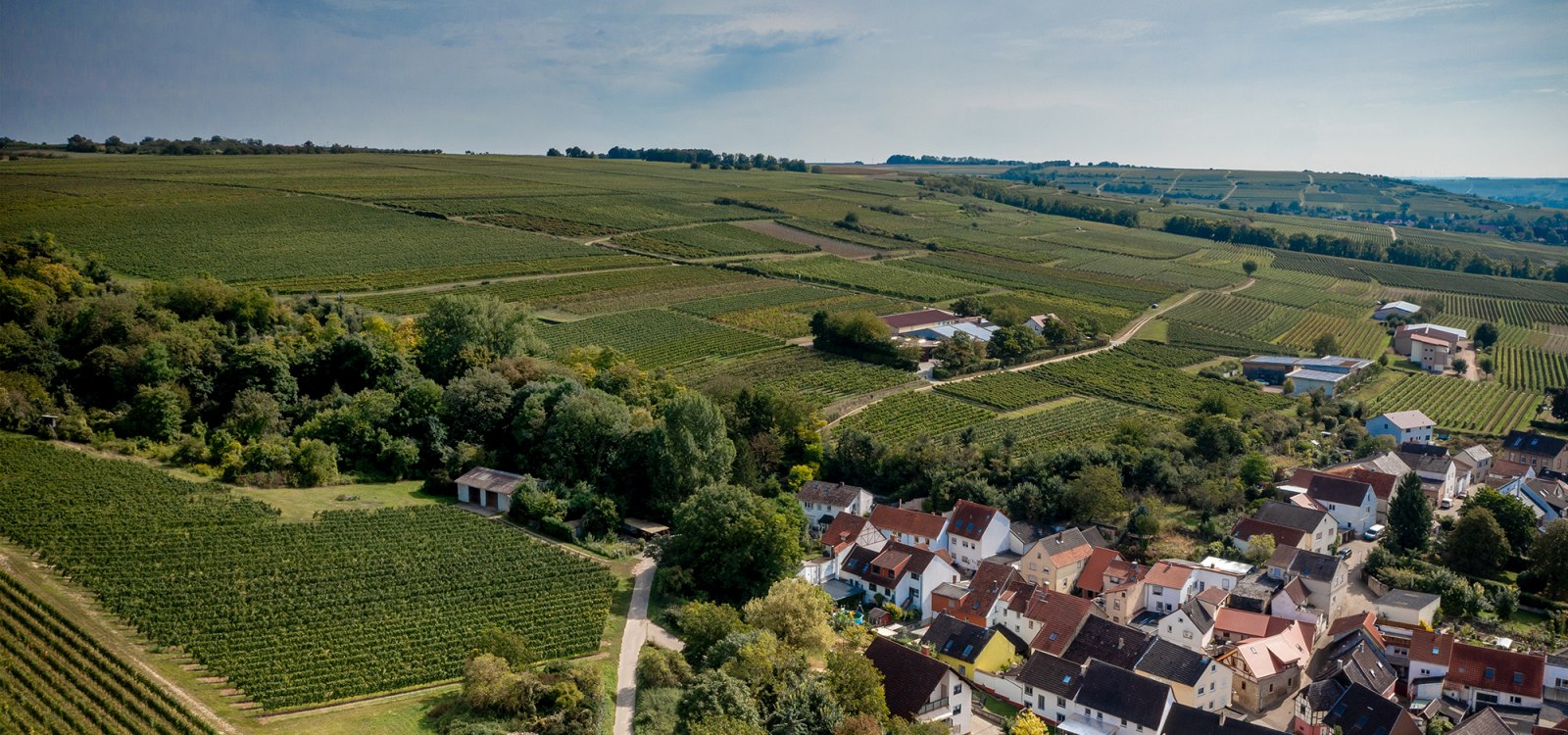 Groß-Winternheimer Bockstein