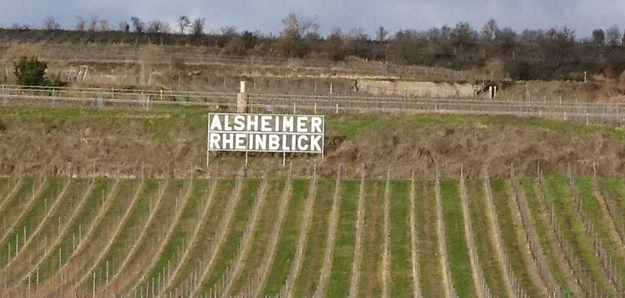 Weingut Weber Hof-Bärenstein_Weinberg, © Weingut Weber Hof-Bärenstein