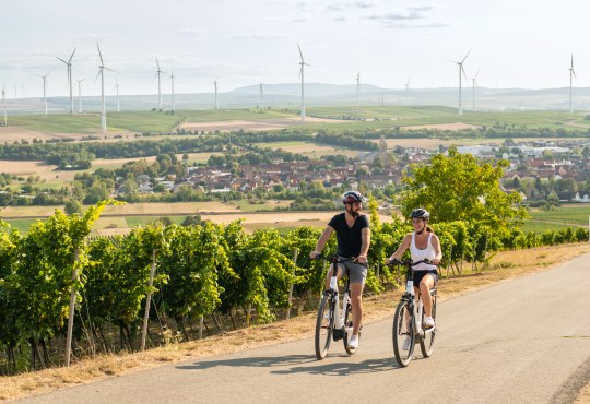 Wißberg, © Rheinhessen Touristik GmbH, Dominik Ketz