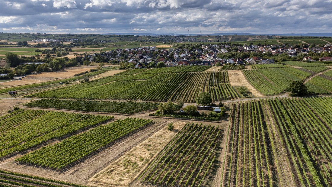 Lörzweiler Königstuhl