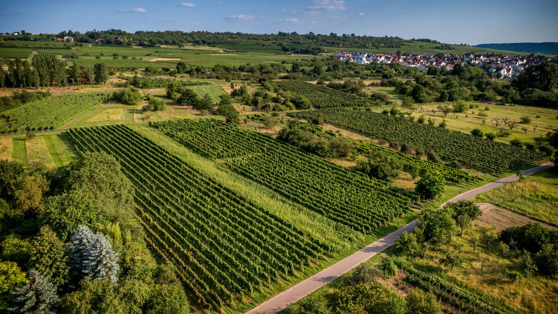 Ingelheimer Rotes Kreuz