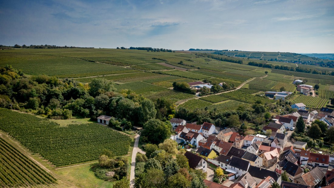 Groß-Winternheimer Bockstein