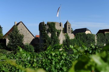 fleckenmauer-c-vg-monsheim-carsten-costard, © Carsten Costard