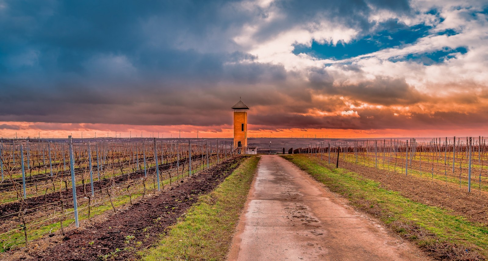 Rheinhessen Mitte im Winter, © Michael Kinzel