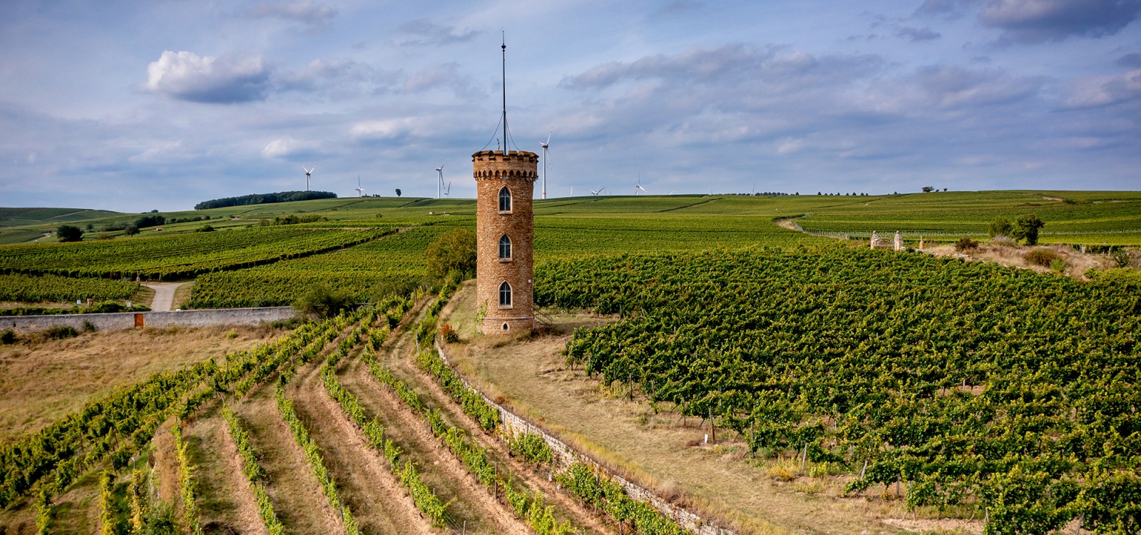 Weinheimer Kapellenberg