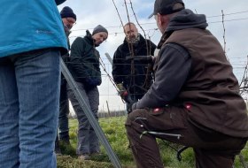 Winzer für ein Jahr 2025 © Britta Dörrschuck