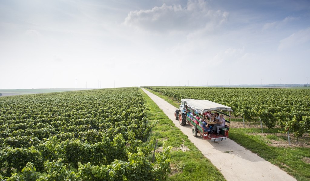 Weingut Helmut Best_Funzelfahrt, © Weingut Helmut Best