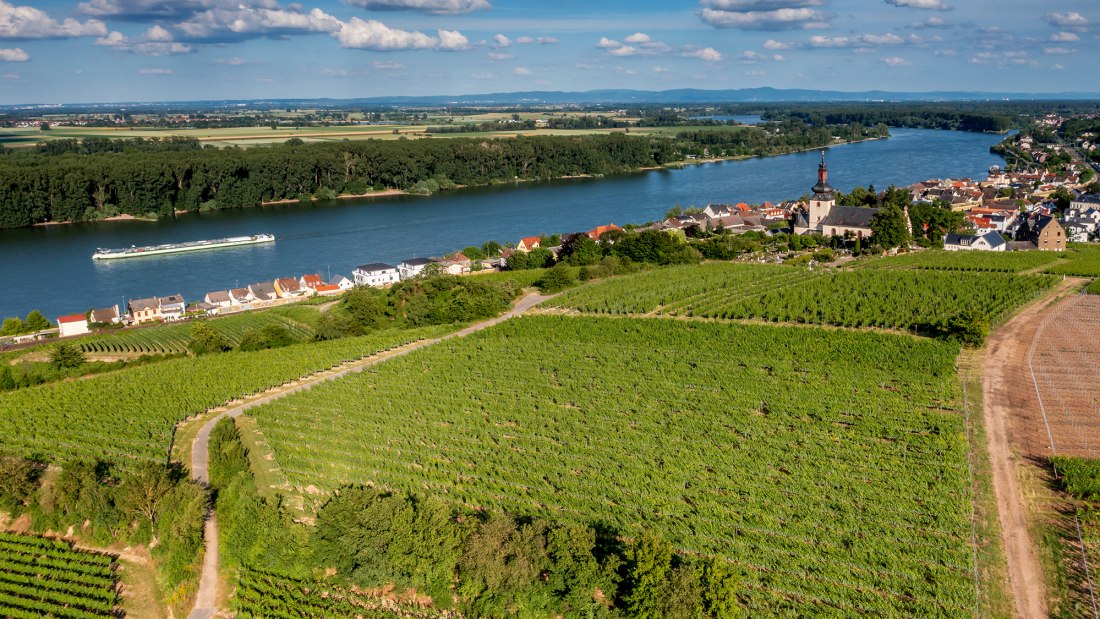 Niersteiner Kranzberg