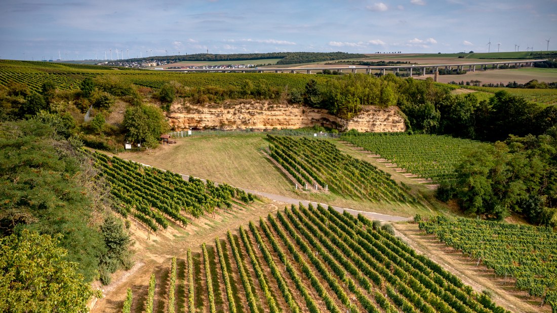 Weinheimer Kapellenberg